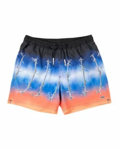 LOST PERIL BEACHSHORT (10800469) -surf sale shop 10800469 WTD 47398.1684357707