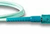 Dakine John John Florence Kainui Surf Leash