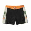 ROARK PASSAGE PANEL 17" BOARDSHORT (RB430)