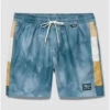 VANS PRIMARY VANS WAVE BOARDSHORT (VN0008KQBR41)